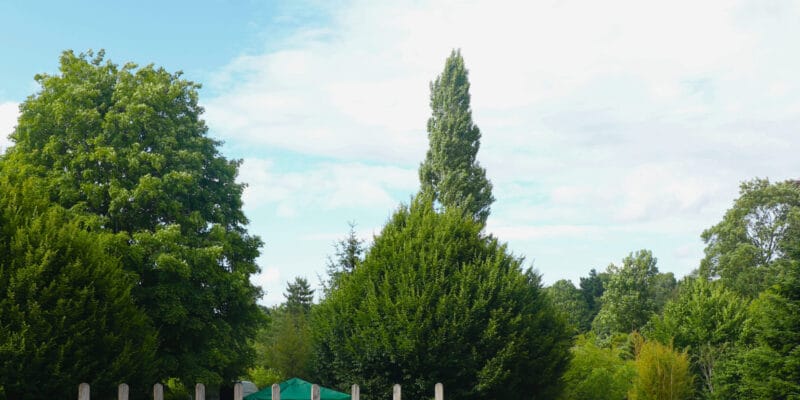 Prayer and Praise in the Park 2025