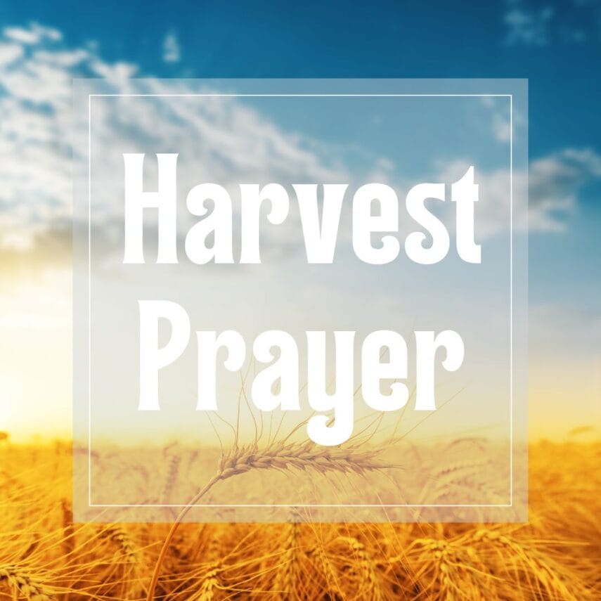 A Prayer at Harvest