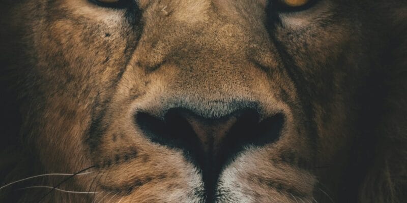 Creativity and the Creator