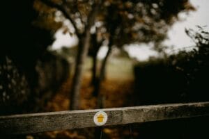 The Way of the Spirit – Word & Spirit – LIFE!