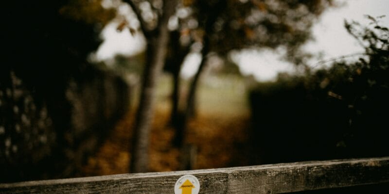 The Way of the Spirit – Word & Spirit – LIFE!