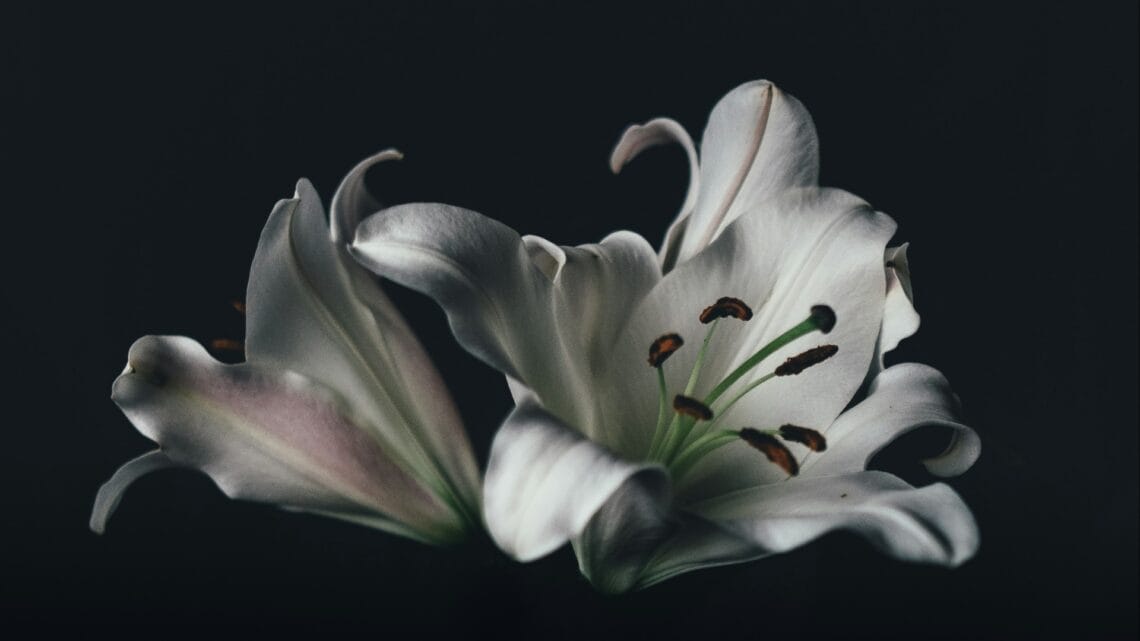 Bereavement