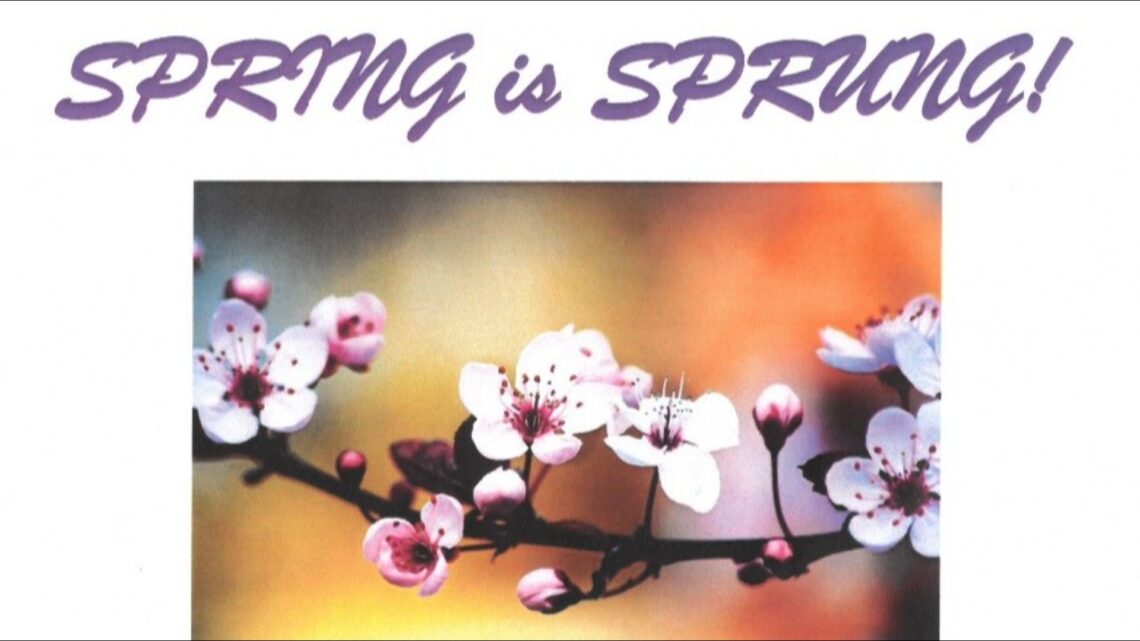 ‘Spring is Sprung!’ at St Margaret’s Church, Warnham