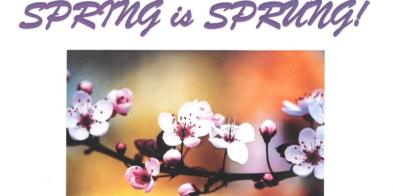 ‘Spring is Sprung!’ at St Margaret’s Church, Warnham