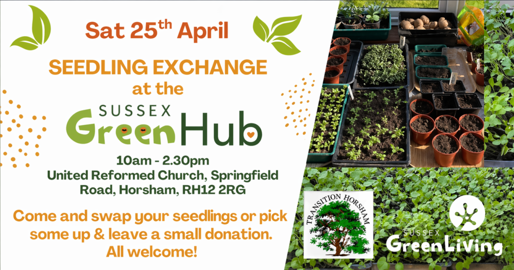 Seedling Exchange at the Sussex Green Hub