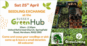 Seedling Exchange at the Sussex Green Hub