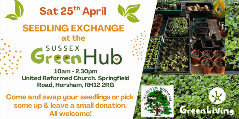 Seedling Exchange at the Sussex Green Hub