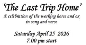 COTILLION – Live Folk Music Evening