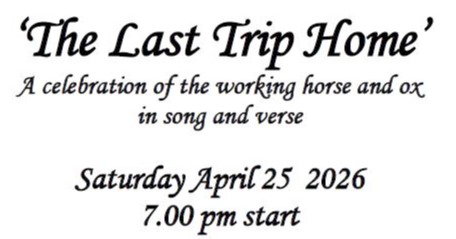 COTILLION – Live Folk Music Evening