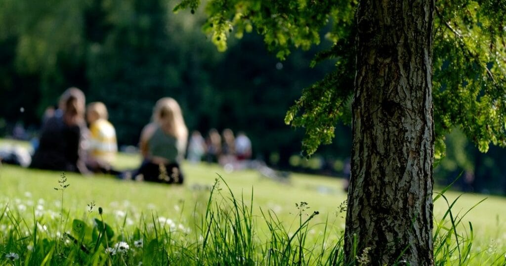 Tree trunk and grass in the foreground with blurred people sitting on a sunny park lawn in the background