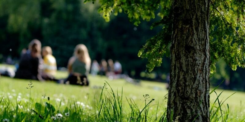 Caring for God’s Creation