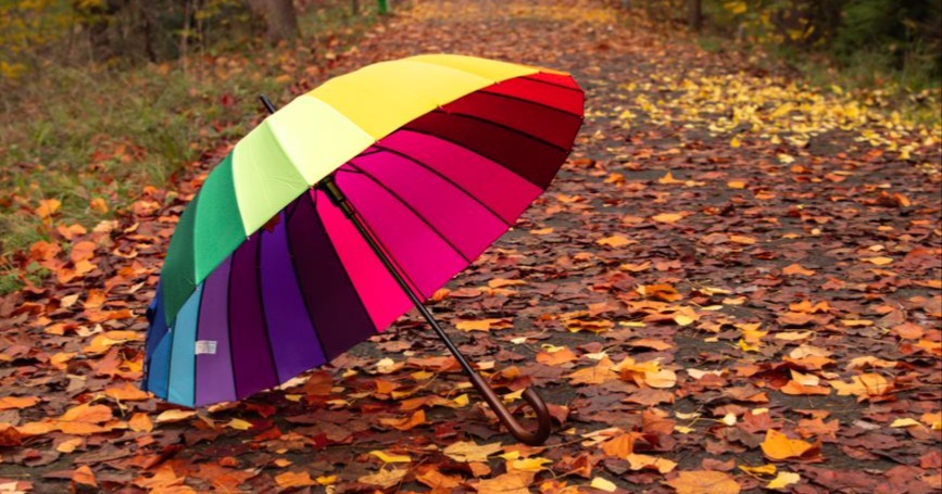 Multicolored umbrella on a leaf-covered woodland path